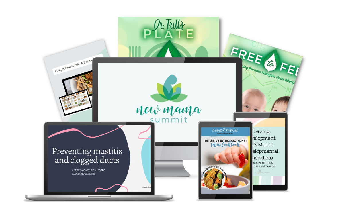 New Mama Summit 2nd Edition Eco Chic Movement